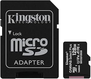 Scheda microSDXC Kingston Canvas Select Plus + Adattatore – 64GB, 128GB e 256GB - Quiscuola